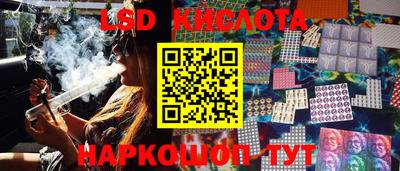прущие крисы Аргун