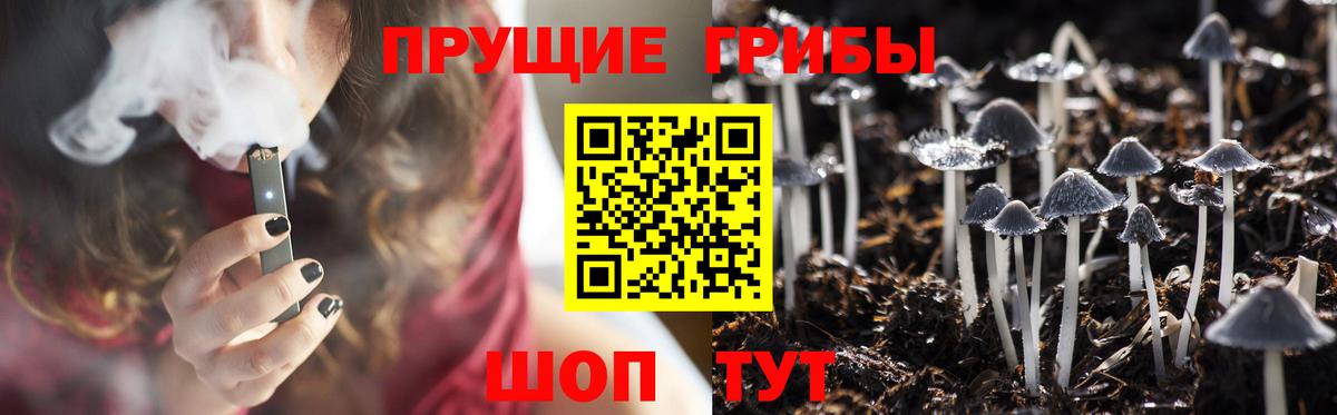 Галлюциногенные грибы прущие грибы  Вход с VPN  цена наркотик  Вичуга 